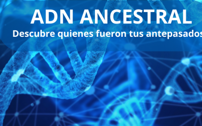 ADN ancestral: cómo encontrar a tus antepasados
